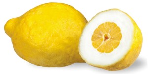 Il cedro