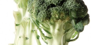 broccolo