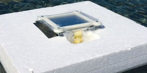 Acqua di mare: salata oggi, dolce domani
