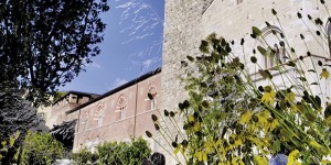 Fiorinsieme 2015