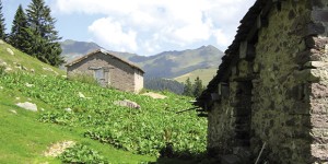 Alpeggio Gambetta e TheClew. Innovare per trasformarsi