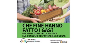 Che fine hanno fatto i GAS