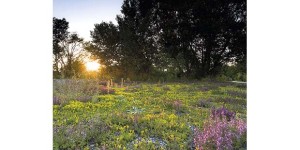 Educazione Ambientale
