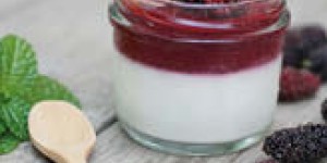 Panna cotta alle more di gelso
