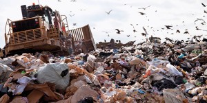 Lo spreco alimentare costa 15 miliardi di euro all'anno