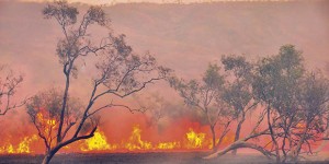 Australia in fiamme. La “Chernobyl della crisi climatica”