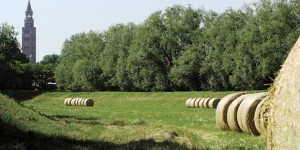  Cremona verso la sostenibilità: territorio, ambiente e mobilità