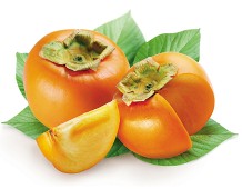 Caco
