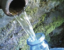 L'acqua immessa in rete