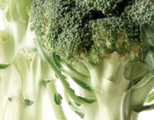 broccolo