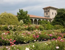 Spezie in castello: un viaggio alla scoperta delle spezie occidentali e d’Oriente