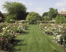 Per tre volte Giardinaria