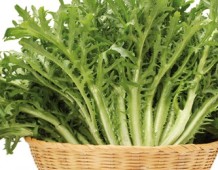 La cicoria amica del fegato