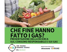 Che fine hanno fatto i GAS