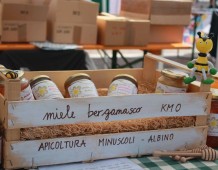 Cibovicino