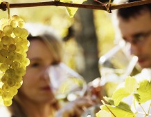 Il Vino... amico della biodiversità