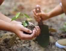 Distretti dell'Economia Sociale e Solidale