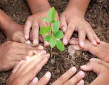 Un albero, una persona, una comunità