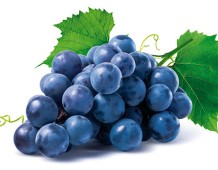 Uva fragola