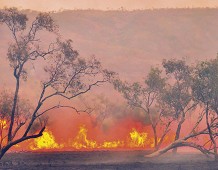 Australia in fiamme. La “Chernobyl della crisi climatica”