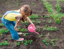 Educazione alimentare con l'orto didattico di Slow Food