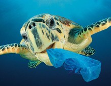 Plastica in mare: è emergenza planetaria. Wwf Italia lancia  una petizione per liberare i mari