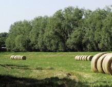  Cremona verso la sostenibilità: territorio, ambiente e mobilità