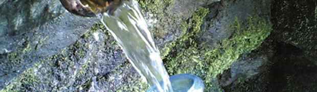 L'acqua immessa in rete