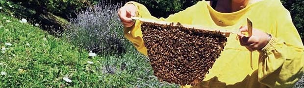 Vita da apicoltrice. Amore per le api e per il territorio
