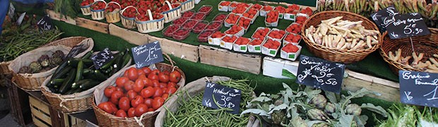 Agricoltura e Diritto al Cibo