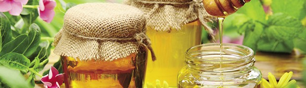 Miele d’acacia, l’etichetta è servita