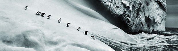 Sebastiao Salgado