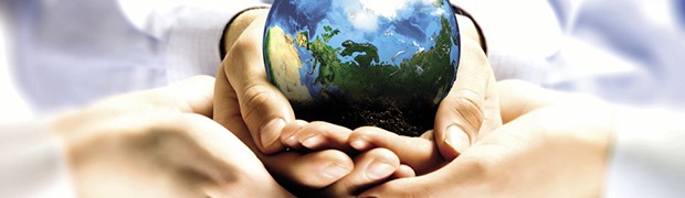 World Kindness Movement. La dolcezza della gentilezza