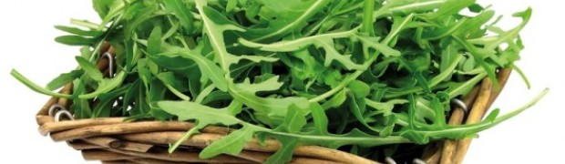 La rucola. Gusto speziato e profumo gradevole
