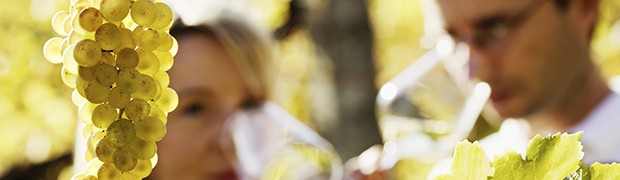Il Vino... amico della biodiversità