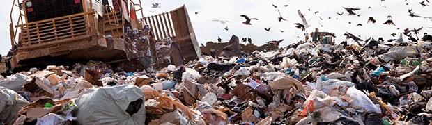 Lo spreco alimentare costa 15 miliardi di euro all'anno