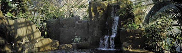 Una casa a misura di zampa
