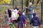 Per fare un albero ci vuole... una rete
