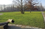 Una città verde, una città sana. Milano, Bosco in Città