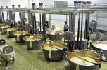 azienda chiapparini