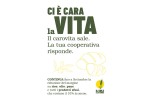Il sole e la terra contro il carovita