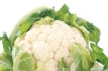 Cavolo