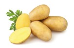 Patata