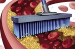 La prevenzione cardiovascolare La prevenzione cardiovascolare