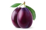 Susina
