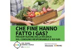 Che fine hanno fatto i GAS