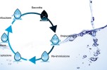 Acqua di valore infografica 