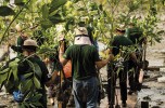 Piccole e grandi storie di resilienza verde per arginare la crisi forestale