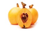 Nespola giapponese