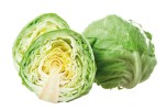 Cavolo cappuccio
